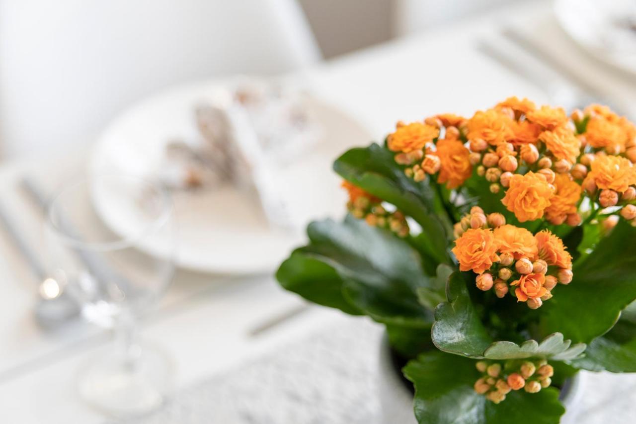 Vasko Luxurious Suites, Kelo Rovaniemi Ngoại thất bức ảnh